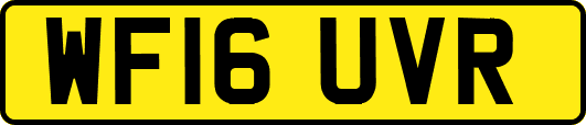 WF16UVR