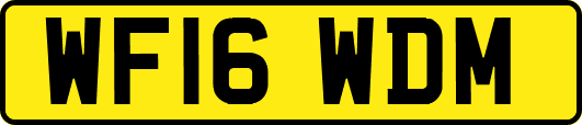 WF16WDM