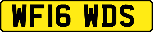 WF16WDS