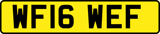 WF16WEF