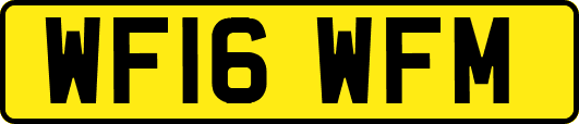 WF16WFM