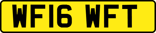 WF16WFT