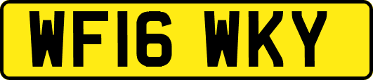 WF16WKY