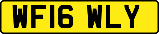 WF16WLY
