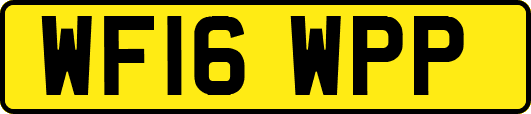 WF16WPP