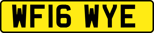 WF16WYE