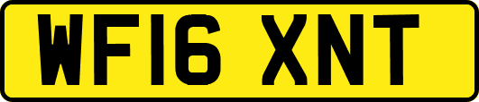 WF16XNT