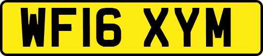 WF16XYM