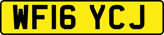 WF16YCJ