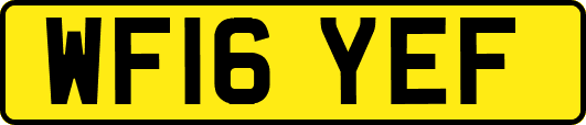 WF16YEF