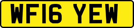 WF16YEW