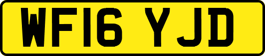 WF16YJD