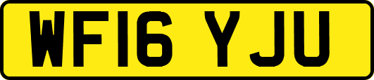 WF16YJU