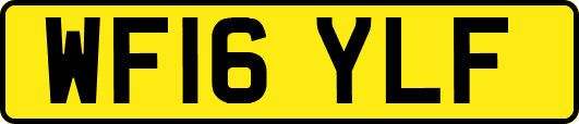 WF16YLF