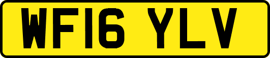 WF16YLV