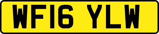 WF16YLW