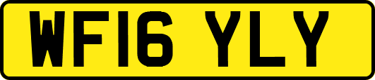 WF16YLY