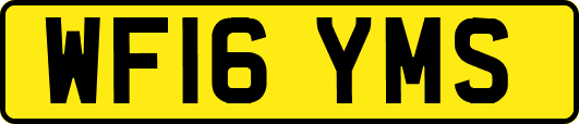 WF16YMS