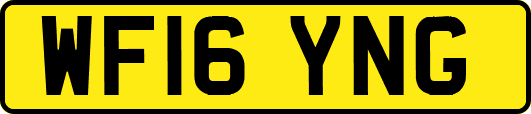 WF16YNG