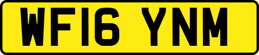 WF16YNM