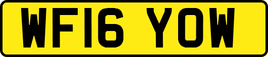 WF16YOW