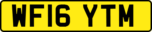 WF16YTM