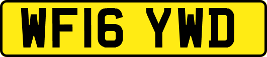 WF16YWD