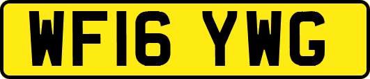 WF16YWG