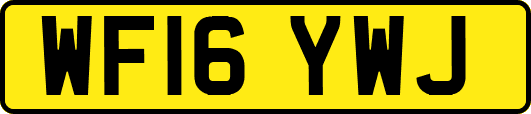 WF16YWJ
