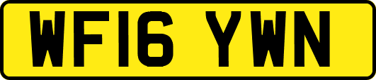 WF16YWN