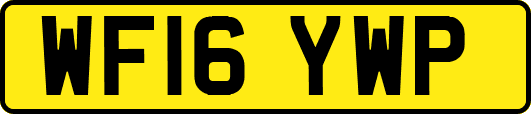 WF16YWP