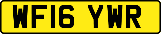 WF16YWR