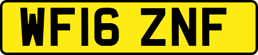WF16ZNF