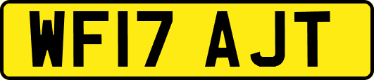 WF17AJT