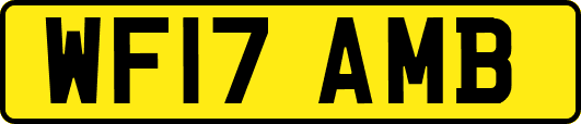 WF17AMB