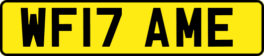 WF17AME