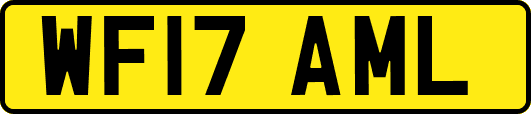 WF17AML
