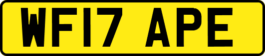 WF17APE