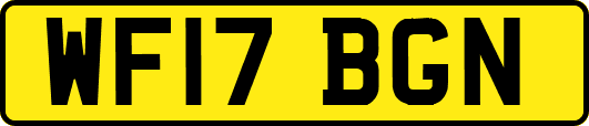 WF17BGN