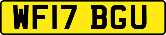 WF17BGU