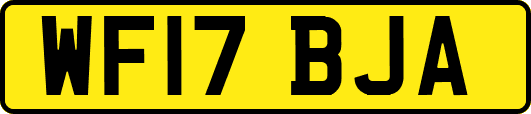 WF17BJA