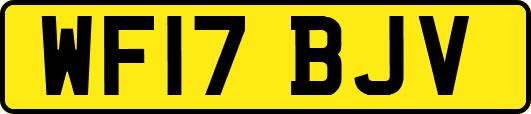 WF17BJV