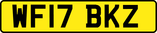 WF17BKZ