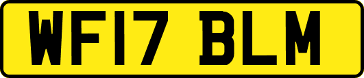 WF17BLM