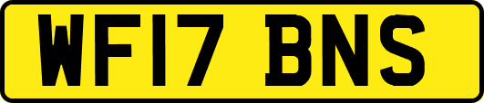 WF17BNS