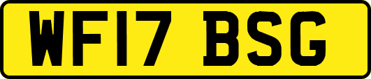 WF17BSG