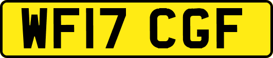 WF17CGF