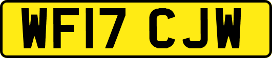 WF17CJW