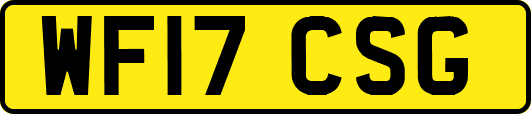 WF17CSG