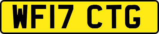 WF17CTG